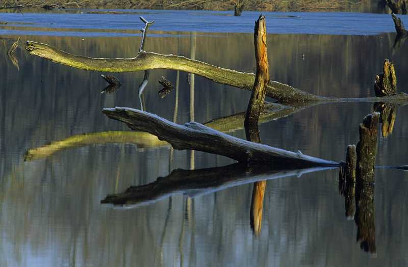 Naturschutzgebiet Taubergie�en