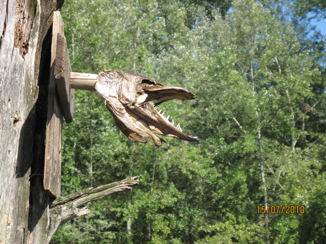 Ausflug im Naturschutzgebiet Taubergieen