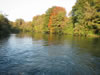 Herbst im Taubergiessen