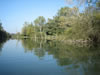 Herbst im Taubergiessen