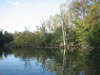 Herbst im Taubergiessen