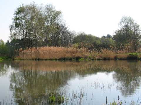 Landschaftsaufnahmen im Taubergiessen